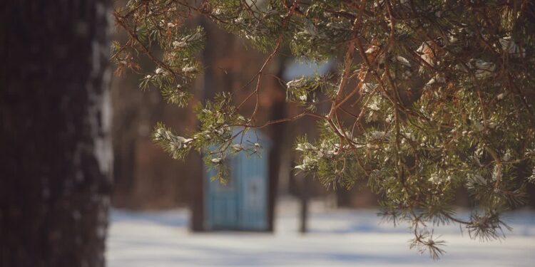 Kolbuszowa: Warsztaty bożonarodzeniowe