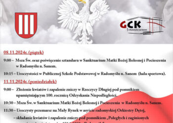 Radomyśl nad Sanem: Obchody Święta Niepodległości w różnych częściach gminy