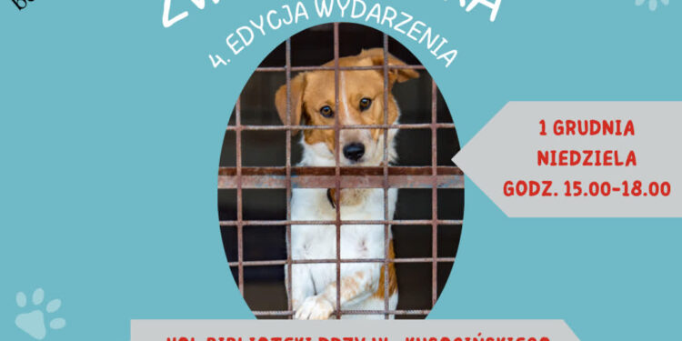 Mielec:  Zwierzoteka po raz czwarty