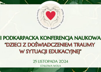 Stalowa Wola: Na konferencji naukowo o pracy z dziećmi doświadczającymi traumy