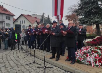 Mielec: Świętujmy naszą Wolność i Niepodległość