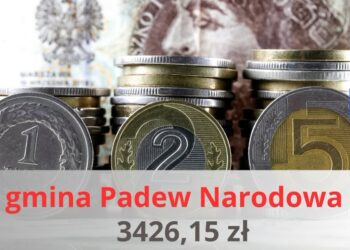 Padew Narodowa: Uplasowali się  na trzecim miejscu  w Podkarpaciu