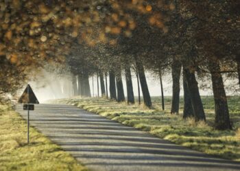Tarnobrzeg: Długi weekend. Policja apeluje do kierowców