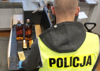 Tarnobrzeg: Kilku przestępsw jednego wieczora dopuścili się dwaj młodzi miszkańcy Sandomierza