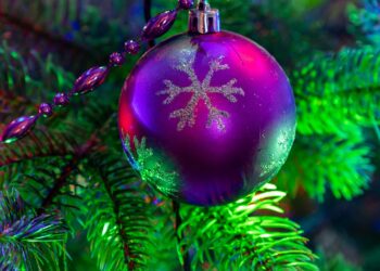 Tarnobrzeg: Boże Narodzenie  w domu prezydenta