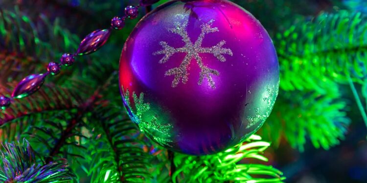 Tarnobrzeg: Boże Narodzenie  w domu prezydenta