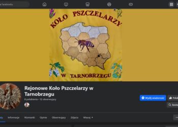 Tarnobrzeg: Pszczelarze na Facebooku