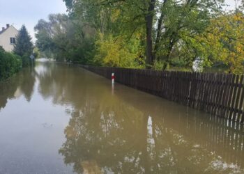 Padew Narodowa: Nie ma zgody na polder