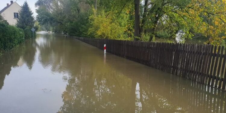 Padew Narodowa: Nie ma zgody na polder