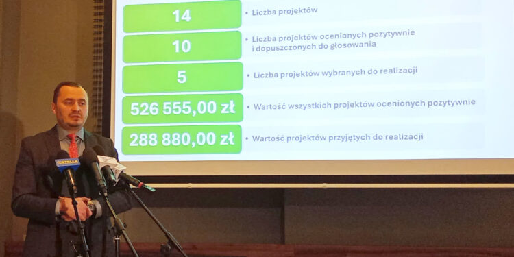 Stalowa Wola: Znane są projekty w ramach Młodzieżowego i Zielonego Budżetu Obywatelskiego na 2025 rok