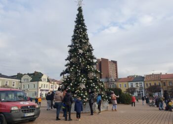 Tarnobrzeg: Uroczyste rozświetlenie miejskiej choinki