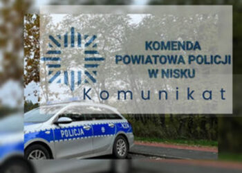 Nisko: Uwaga na oszustwa podczas internetowych zakupów