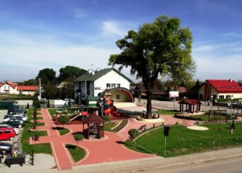 Gawłuszowice: Plany i marzenia na 2025