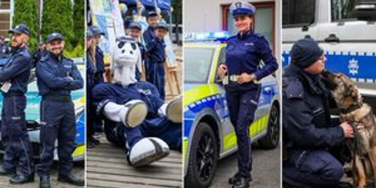 Świętokrzyskie: Bezpieczne drogi województwa – podsumowanie roku