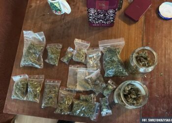 Sandomierz: Zabezpieczono w sumie 150 gramów narkotyków