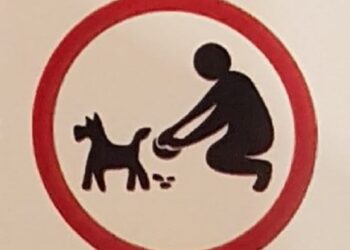 Tarnobrzeg: Szpecą, śmierdzą, bulwersują