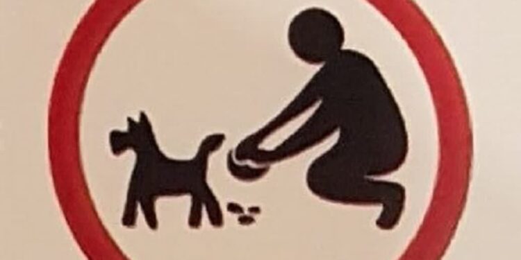 Tarnobrzeg: Szpecą, śmierdzą, bulwersują