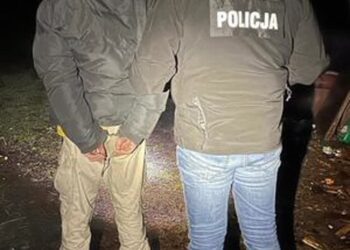 Kolbuszowa: Zatrzymali 33-latka, który zaatakował swojego brata