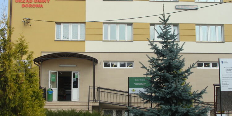 Borowa: Nieznacznie ale  jednak wzrosły ceny…..