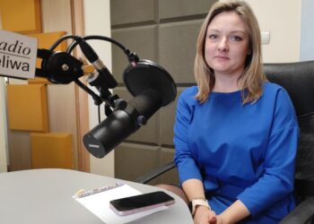 Mielec: 87 czworonogów czeka na Twoją pomoc…