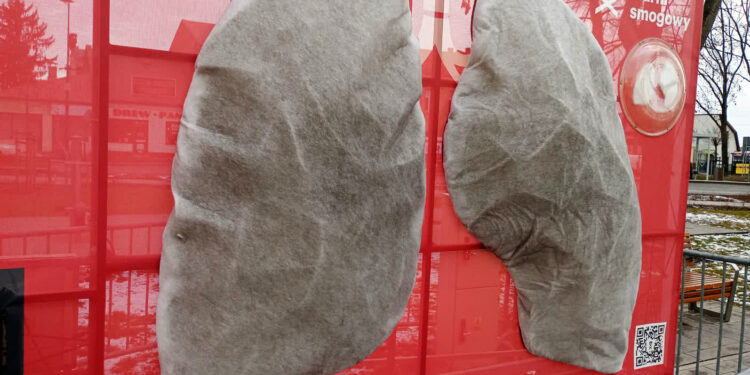 Stalowa Wola: Ciemnoszare mobilne płuca