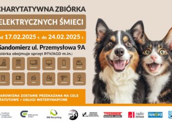 Sandomierz: Oddaj elektrośmieci i pomóż psom z przytuliska