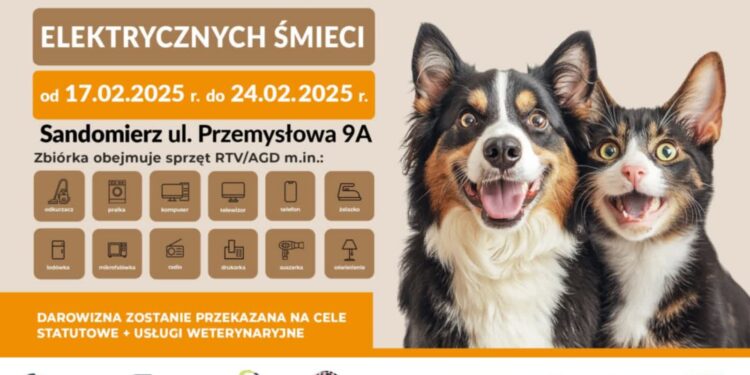 Sandomierz: Oddaj elektrośmieci i pomóż psom z przytuliska