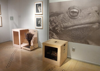 Stalowa Wola: Rodzinna niedziela w Zamku Lubomirskich