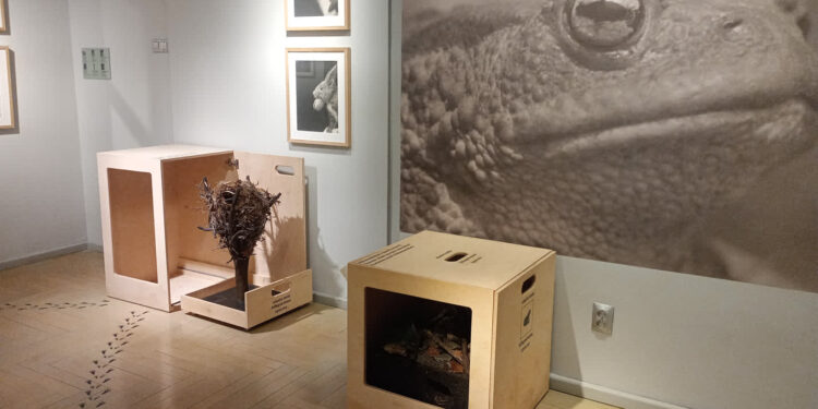 Stalowa Wola: Rodzinna niedziela w Zamku Lubomirskich