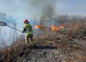 Tarnobrzeg/Sandomierz: Pracowity weekend strażaków
