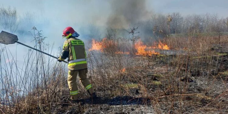 Tarnobrzeg/Sandomierz: Pracowity weekend strażaków