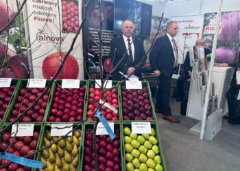 Sandomierz: O wyzwaniach i problemach współczesnego sadownictwa