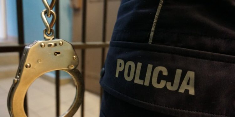 Tarnobrzeg: Z zakazem prowadzenia pojazdów i promilami jechał przez centrum miasta