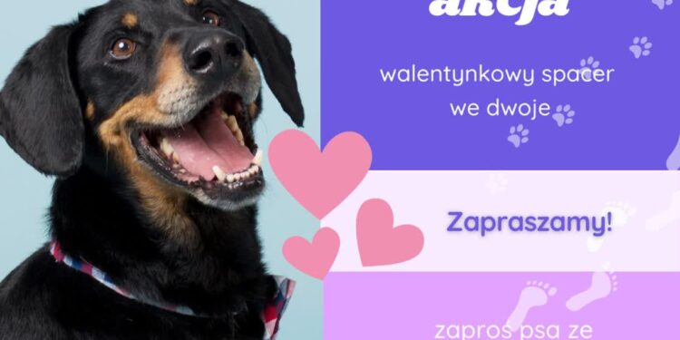 Mielec: Walentynkowy spacer we dwoje