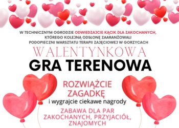 Gorzyce. Walentynkowa gra terenowa