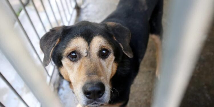 Mielec: Zbieramy dary dla Czekadełka