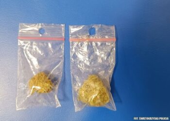 Sandomierz: Dwie narkotykowe wpadki