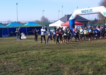 Tarnobrzeg. Pobiegli dla Dawida