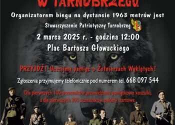 Tarnobrzeg: Bieg Wilczym Tropem