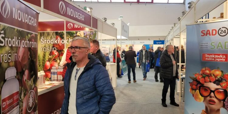 Sandomierz: 33. Spotkanie Sadownicze