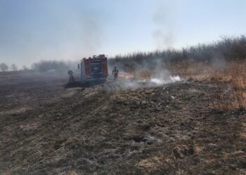 Sandomierz: Ładna pogoda – więcej pożarów
