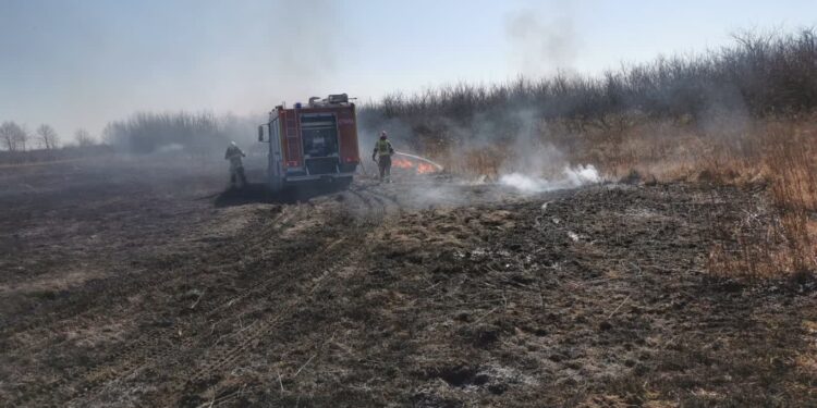 Sandomierz: Ładna pogoda – więcej pożarów