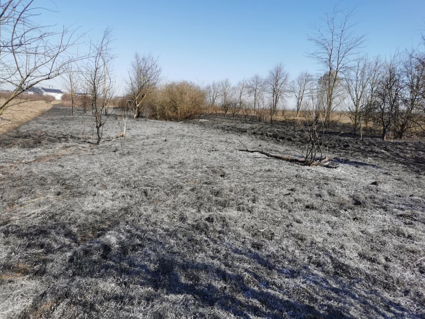 WhatsApp Image 2025-03-21 at 07.09.23.jpeg