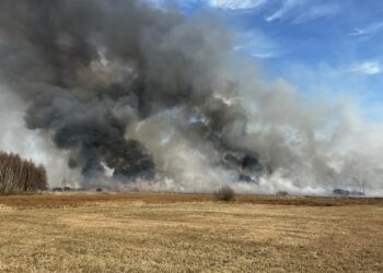 Tarnobrzeg: Wypalanie traw nie użyźnia gleby!