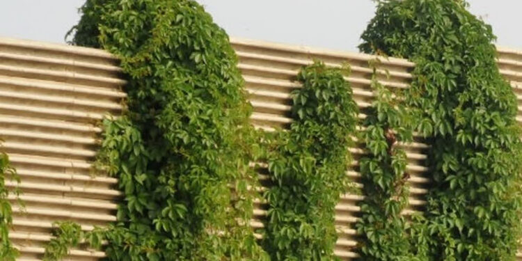 Stalowa Wola: Miasto wybrało wykonawcę koncepcji ekranów akustycznych przy obwodnicy