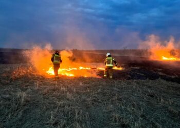 Sandomierz: Znowu płoną trawy