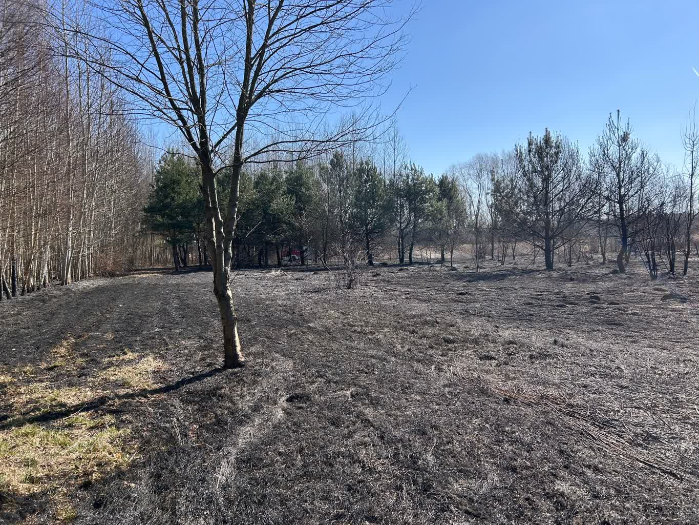 WhatsApp Image 2025-03-19 at 13.10.02(1).jpeg