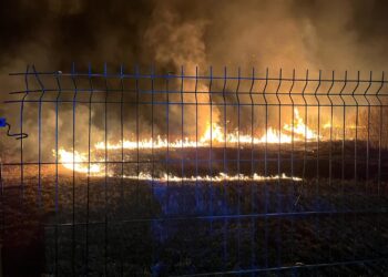 Sandomierz: Wypalanie traw wiosenną plagą