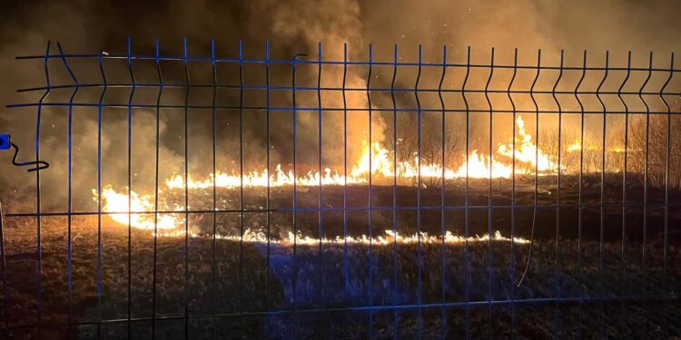 Sandomierz: Wypalanie traw wiosenną plagą