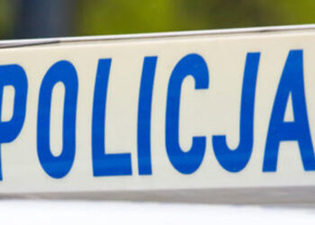 Stalowa Wola: Pies Husky pogryzł dziecko